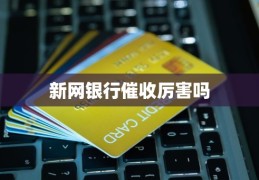 新网银行vip专属福利安全吗新网银行催收厉害吗